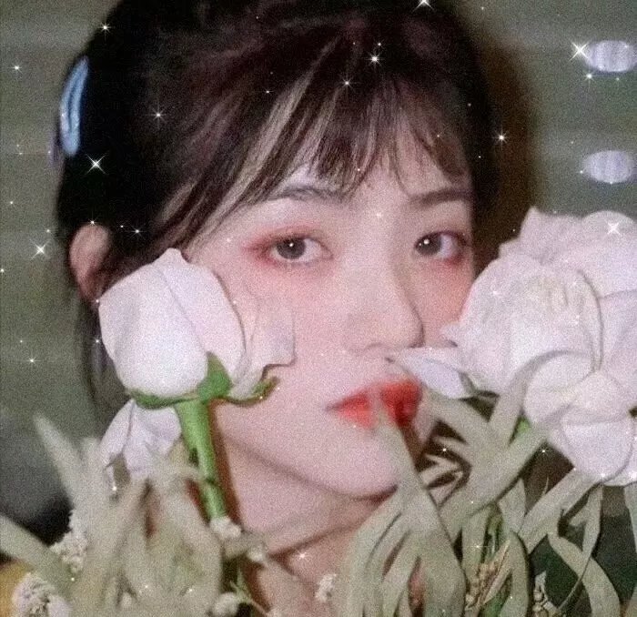 那些见证了疯狂的故事